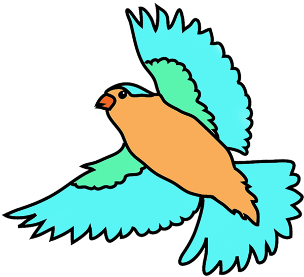 Free Bird Beak Bird Macaw Clipart Clipart Transparent Background