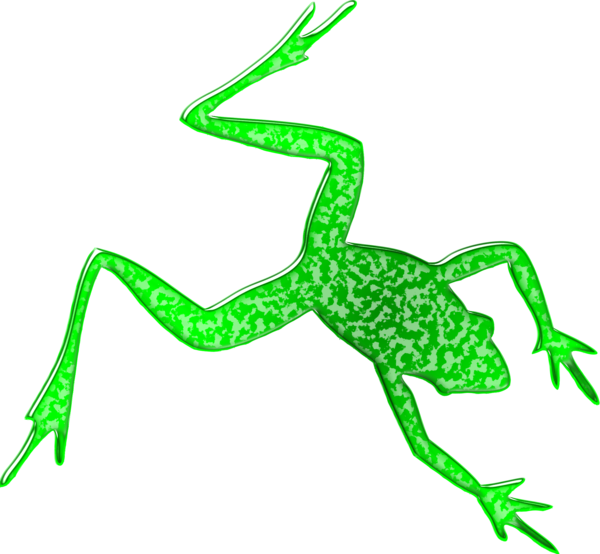 Free Frog Leaf Frog Line Art Clipart Clipart Transparent Background