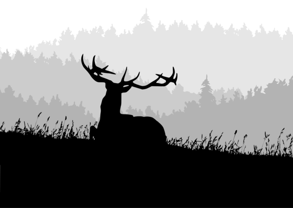 Free Deer Black And White Silhouette Deer Clipart Clipart Transparent Background