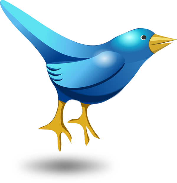 Free Bird Bird Beak Cobalt Blue Clipart Clipart Transparent Background