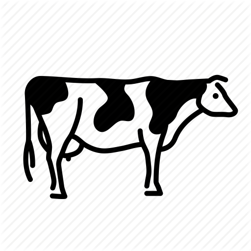 Free Cow Dairy Cow Black And White Line Clipart Clipart Transparent Background