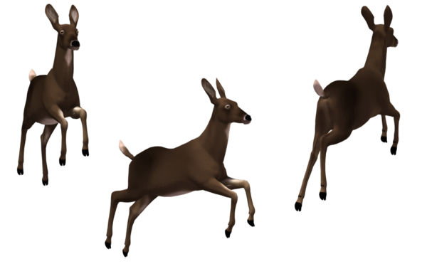 Free Deer Deer Wildlife Antelope Clipart Clipart Transparent Background