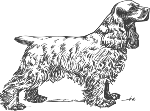 Free Dog Dog Black And White Paw Clipart Clipart Transparent Background