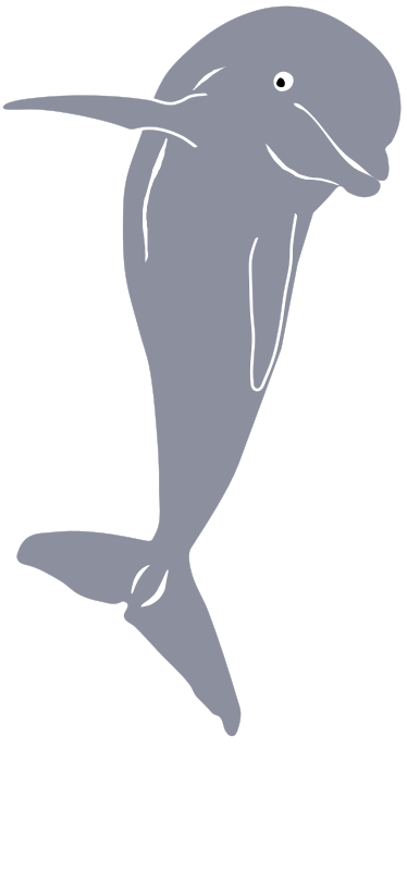 Free Bird Footwear Beak Dolphin Clipart Clipart Transparent Background