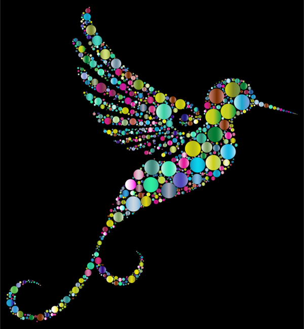 Free Hummingbird Line Wing Feather Clipart Clipart Transparent Background