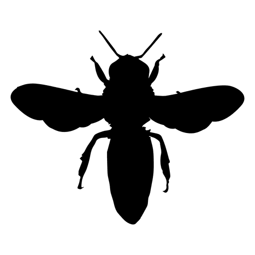 Free Bee Insect Black And White Fly Clipart Clipart Transparent Background