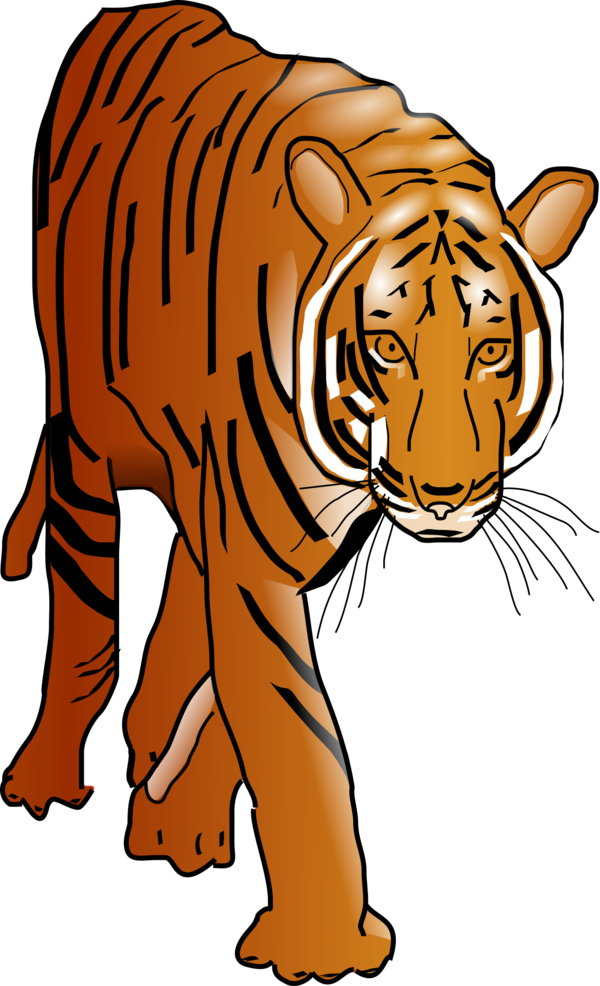 Free Cat Tiger Wildlife Head Clipart Clipart Transparent Background