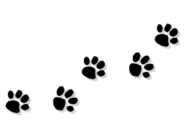 Free Cat Black And White Leaf Paw Clipart Clipart Transparent Background