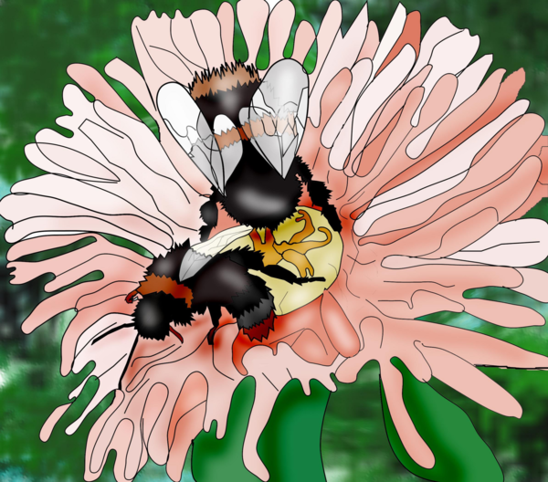 Free Bee Flower Insect Honey Bee Clipart Clipart Transparent Background
