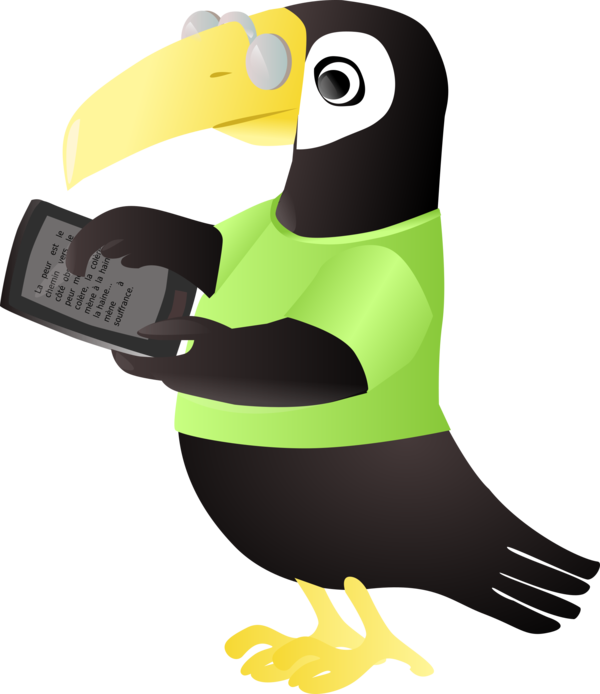Free Bird Beak Bird Flightless Bird Clipart Clipart Transparent Background