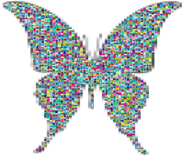 Free Butterfly Butterfly Moths And Butterflies Symmetry Clipart Clipart Transparent Background