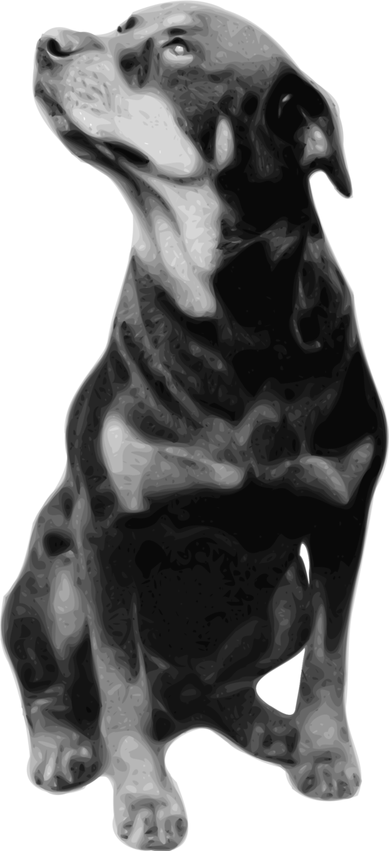 Free Dog Dog Black And White Snout Clipart Clipart Transparent Background