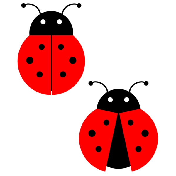 Free Insect Ladybird Insect Fruit Clipart Clipart Transparent Background