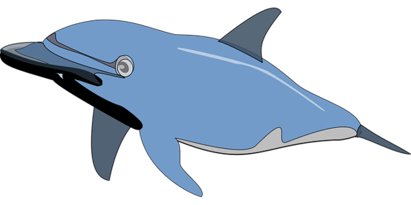 Free Dolphin Dolphin Killer Whale Fish Clipart Clipart Transparent Background