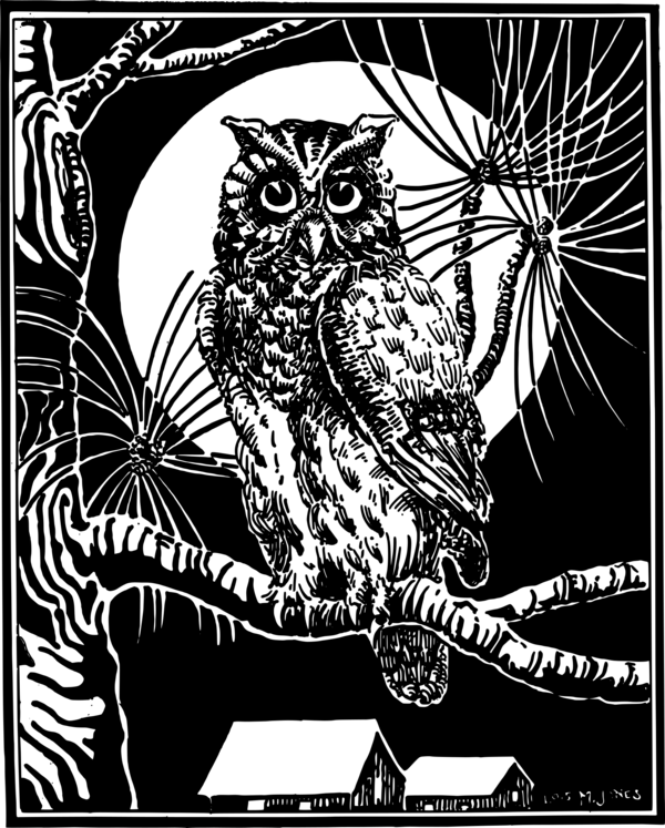 Free Bird Owl Bird Black And White Clipart Clipart Transparent Background