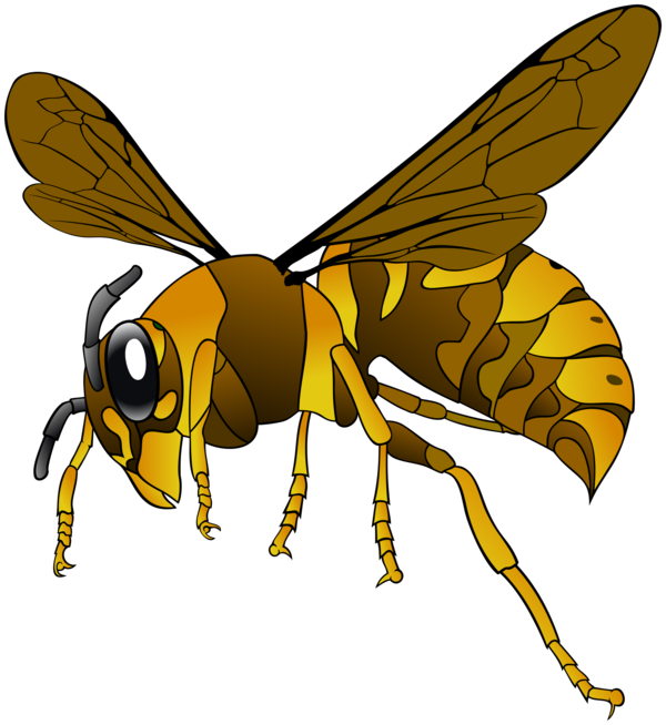 Free Bee Insect Honey Bee Pest Clipart Clipart Transparent Background