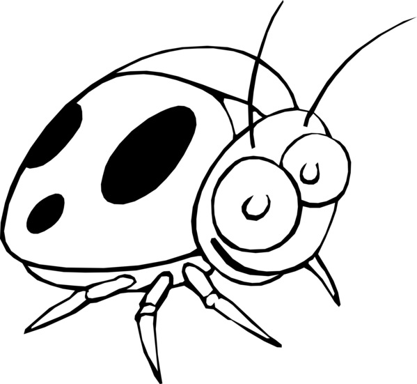Free Insect Black And White Nose Line Art Clipart Clipart Transparent Background