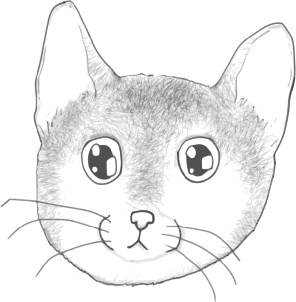 Free Cat Cat Face Line Art Clipart Clipart Transparent Background