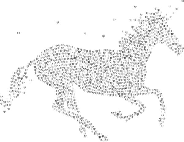 Free Horse Line Art Black And White Wildlife Clipart Clipart Transparent Background