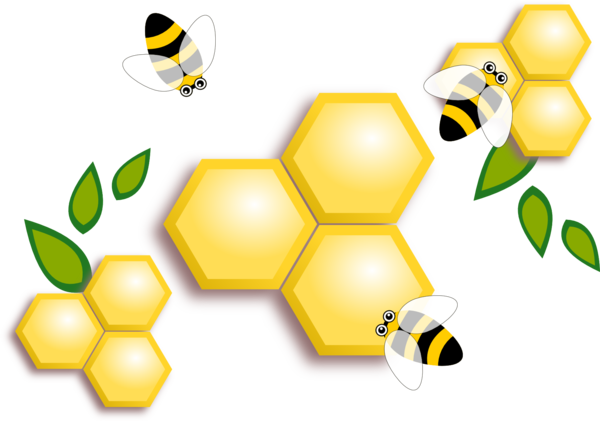 Free Bee Honey Bee Pollinator Line Clipart Clipart Transparent Background