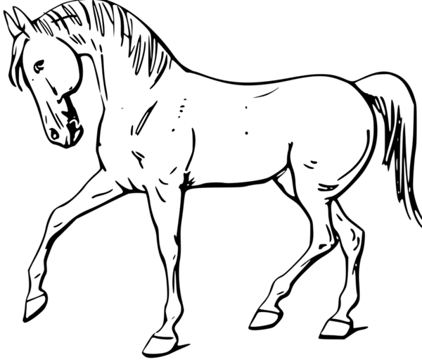 Free Horse Horse Line Art Black And White Clipart Clipart Transparent Background