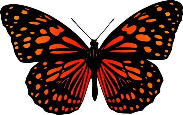 Free Gardening Butterfly Moths And Butterflies Monarch Butterfly Clipart Clipart Transparent Background