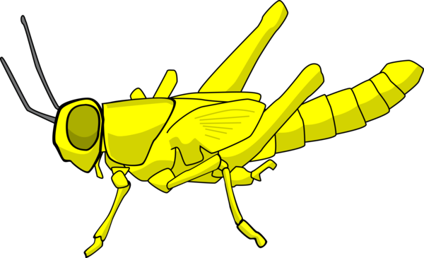 Free Bee Insect Black And White Line Art Clipart Clipart Transparent Background