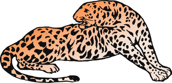 Free Cat Wildlife Leopard Jaguar Clipart Clipart Transparent Background