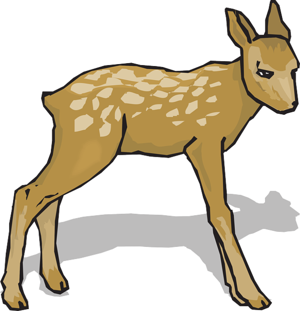 Free Hunting Wildlife Deer Tail Clipart Clipart Transparent Background