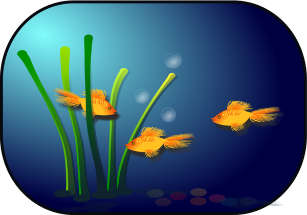 Free Fish Fish Flower Freshwater Aquarium Clipart Clipart Transparent Background