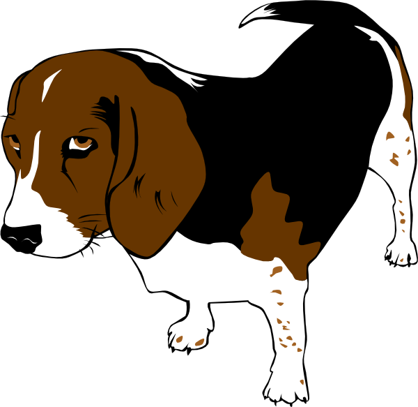 Free Dog Dog Beagle Snout Clipart Clipart Transparent Background