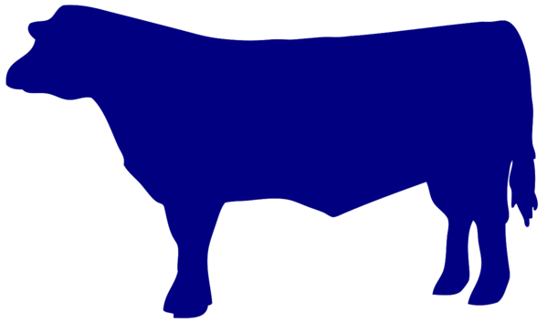 Free Cow Cobalt Blue Dairy Cow Bull Clipart Clipart Transparent Background