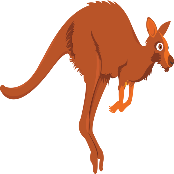 Free Bear Kangaroo Macropodidae Cartoon Clipart Clipart Transparent Background