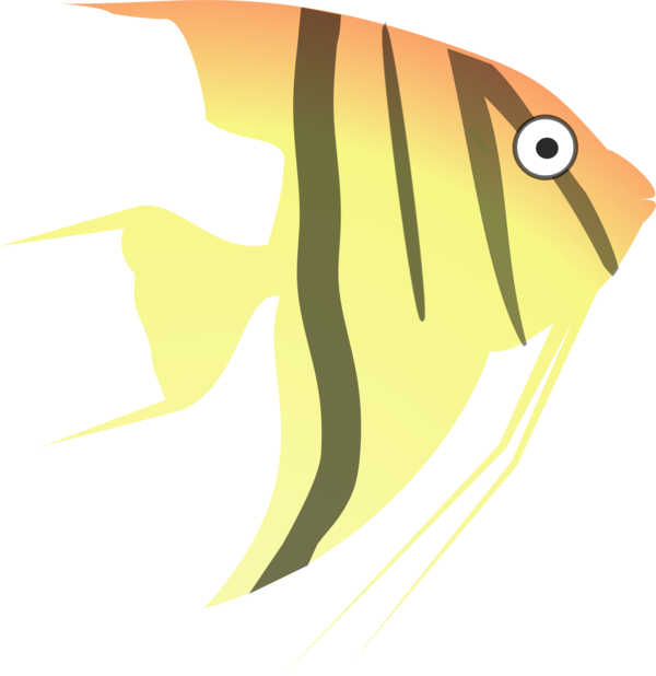 Free Bird Fish Beak Bird Clipart Clipart Transparent Background