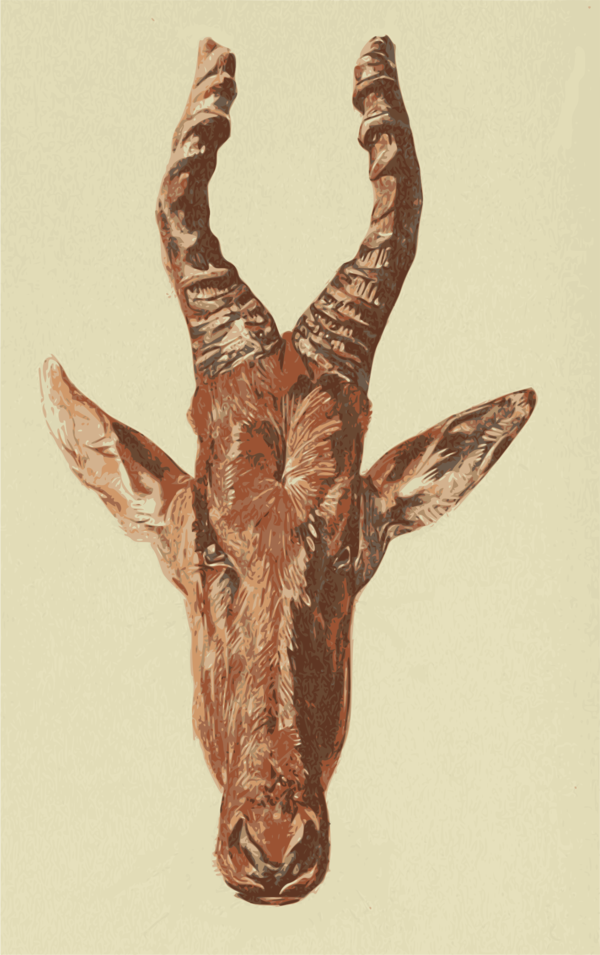 Free Deer Horn Giraffe Giraffidae Clipart Clipart Transparent Background