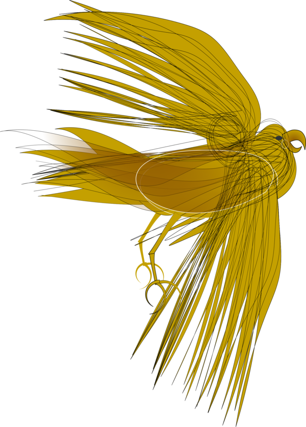 Free Bird Flower Line Wing Clipart Clipart Transparent Background
