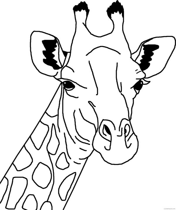 Free Giraffe Face Black And White Line Art Clipart Clipart Transparent Background