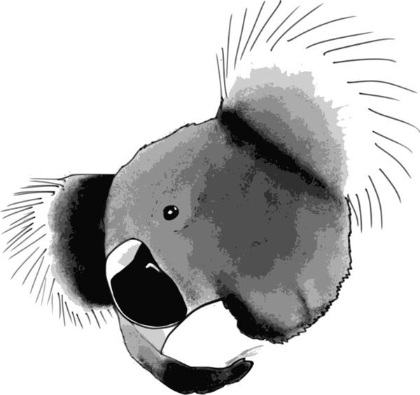 Free Bear Black And White Snout Close Up Clipart Clipart Transparent Background