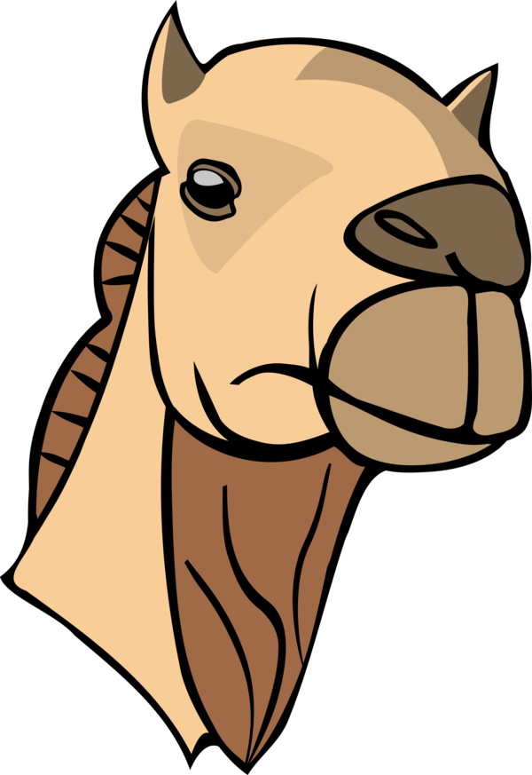 Free Camel Face Horse Nose Clipart Clipart Transparent Background