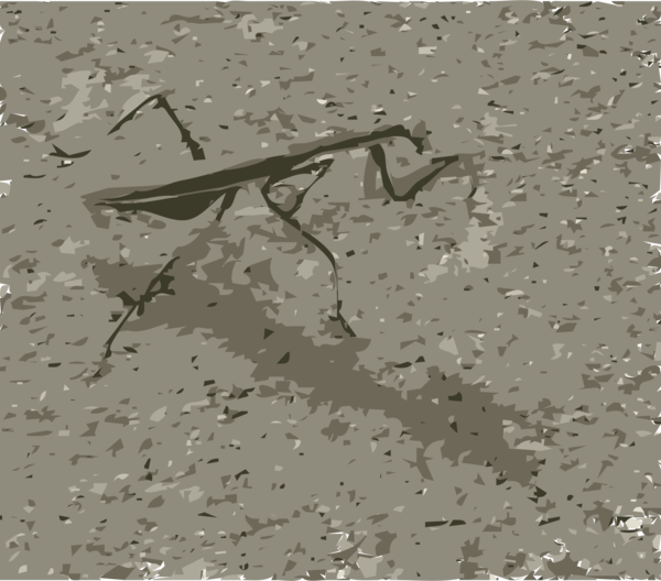 Free Insect Water Mantis Soil Clipart Clipart Transparent Background