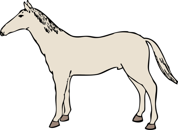 Free Horse Horse Mane Horse Tack Clipart Clipart Transparent Background