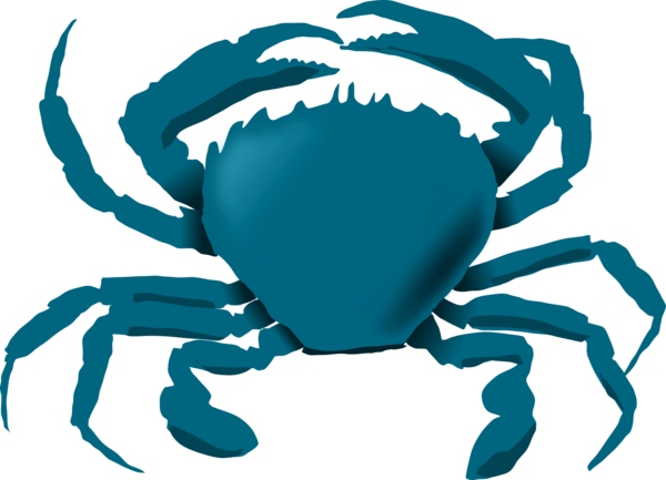 Free Crab Crab Decapoda Dungeness Crab Clipart Clipart Transparent Background