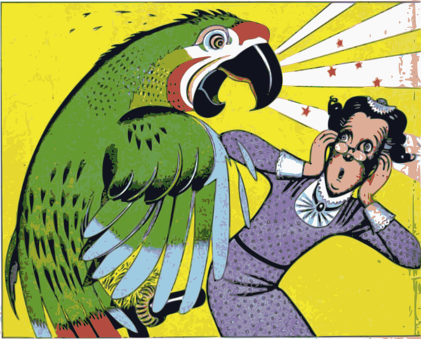 Free Bird Cartoon Macaw Bird Clipart Clipart Transparent Background