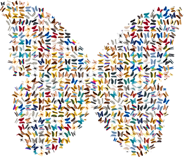 Free Butterfly Line Symmetry Clipart Clipart Transparent Background