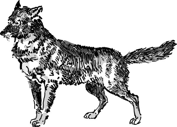 Free Dog Dog Black And White Wildlife Clipart Clipart Transparent Background