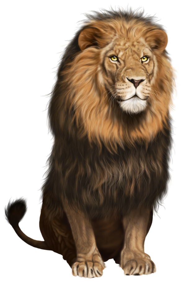 Free Cat Lion Wildlife Roar Clipart Clipart Transparent Background