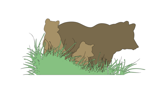Free Bear Grass Wildlife Lion Clipart Clipart Transparent Background