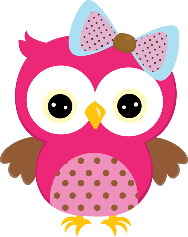 Free Bird Owl Beak Nose Clipart Clipart Transparent Background