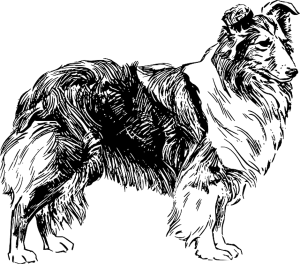 Free Dog Black And White Dog Line Art Clipart Clipart Transparent Background
