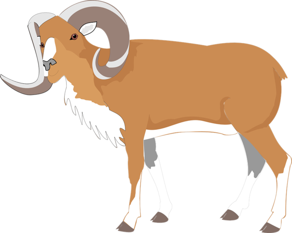 Free Goat Horn Sheep Wildlife Clipart Clipart Transparent Background
